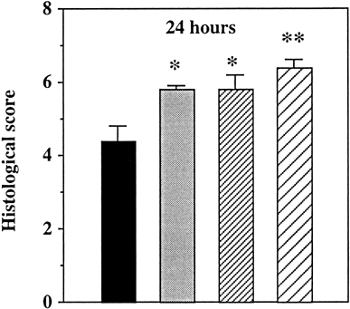 Figure 3. Antioxidant status of intestinal tissue after 24 h preservation: comparison of groups 3 (Display full sizeFU/FU) and 4 (Display full sizeFU/FU+O2) with group 1 (Display full size UW/UW). −SH : total thiol functions GSH-P : glutathione peroxidase activity SOD : superoxide dismutase activity Cat : catalase activity * p < 0.05