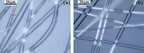 Figure 7 OM images for electrospun fiber of (a) PCEMA-b-PMAdU and (b) PCEMA-b-PMMA-b-PMAdU.