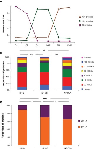 Figure 4 Characterization and comparison of protein groups specific to NP surface by quantitative mass spectrometry.Notes: (A) Graphical representation of the mean normalized PAI value of three protein groups (obtained by hierarchical clustering) specific to NP surface. Here, 136, 100, and 68 proteins are preferentially captured by PAA-NPs, OS-NPs, and Q-NPs, respectively. Histogram representing (B) the MW and (C) the pI of these specific proteins for each NP surface. *P<0.05; ***P<0.001; ****P<0.0001.Abbreviations: NP, nanoparticle; PAI, protein abundance index; MW, molecular weight; pI, isoelectric point; ns, non significant.