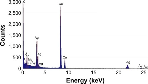 Figure 2 EDS spectrum of the Ag-NPs with the peaks labeled.Abbreviations: Ag-NPs, silver nanoparticles; EDS, energy-dispersive spectrometry.
