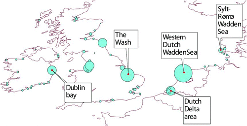 Figure 1. Location of the study sites, with the mean January numbers of Bar-tailed Godwits (1995 – 2005) counted at high tide roosts, based on the Wetlands International midwinter count database. The size of the shaded circles reflects the mean winter abundance of Bar-tailed Godwits: the Western Dutch Wadden Sea had the highest average number with almost 40 000 individuals, followed by the Wash with an average of 14 000 individuals.