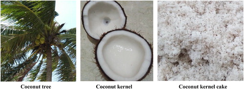 Figure 1. Coconut tree, coconut kernel and coconut kernel cake.