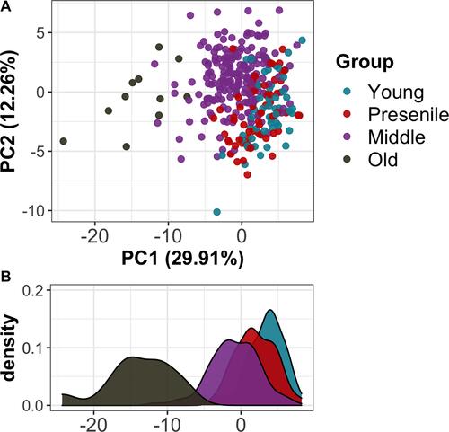 Figure 5 Skin phenotypes differ in the young group, the presenile group, the middle group, and the old group. (A) PCA results for in different groups. (B) Density of PC1 in different groups.