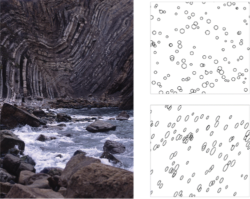Figure 10. Left panel: Folded limestones from the Jurassic Coast (Stair Hole, Lulworth Cove, Dorset, UK), originally deposited as horizontal sedimentary layers at the bottom of coastal lagoons and swamps about 135 million years ago. The mountain building processes that deformed and uplifted them were part of the Alpine orogeny and occurred about 50 million years ago (Geological Society of London Citation2015). Image copyright 2015 ScienceStockPhotos (Creative Commons Attribution 4.0 International), from http://sciencestockphotos.com/free/geology/slides/folded_sedimentary_layers.html. Right panel: Locally, deformation is approximately affine: circles become ellipses all with the same shape as the strain ellipse.