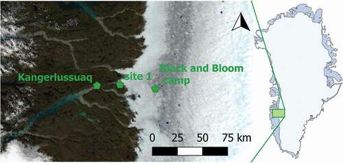 Figure 1. Location of the cryoconite holes used for in situ incubations, measurements, and sampling on the Greenland Ice Sheet at Point 660 (67.06000, −50.17000) on the ice sheet margins and at camp Black and Bloom (67.07482, −49.3586). Map is acquired as an image from Modis Satellite