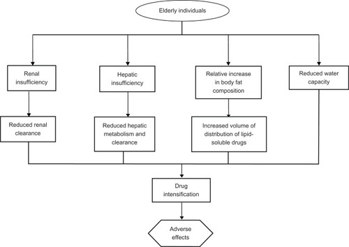 Figure 2 Major physical and physiologic factors adversely influencing statin pharmacokinetics in the elderly.