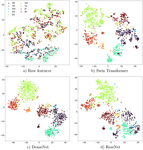 Figure 10. Embedding features distribution shown by t-SNE of 1000 randomly selected samples of datasets (PB: paper birch, YB: yellow birch, RM: red maple, PO: poplar, BS: black spruce, WS: white spruce, TA: tamarack, JP: jack pine and BF: balsam fair).