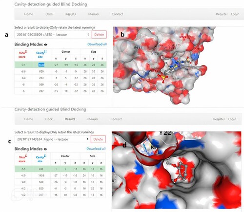 Figure 8. The web interface of CB-Dock. (a) and (b) Vina scores and cavity information of results for ABTS and guaiacol with laccase, (c) and (d) the interactive 3D viewer illustrating selected binding modes.
