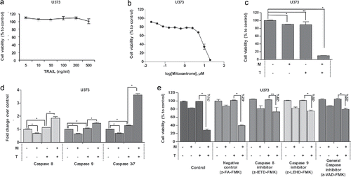Figure 5. The effect of Mitoxantrone on TRAIL resistant cell line, U373. (A) The effect of TRAIL (5–500 ng/ml) on intrinsically TRAIL resistant cells U373. (B) Effects of 0.02–20 μM of Mitoxantrone on U373 viability. (C) The effect as single agents and of the combination of the chosen dose of Mitoxantrone and TRAIL on U373 cells. (D) Caspase-8, −9 and −3/7 level detections of Mitoxantrone and/or TRAIL treated U373 cells. (E) The effect of caspase-8 or −9 inhibitors and general caspase inhibitors on U373 cells treated with Mitoxantrone, TRAIL and the combination. * indicates p <0.05 and ns indicates nonsignificant (p>0.05).