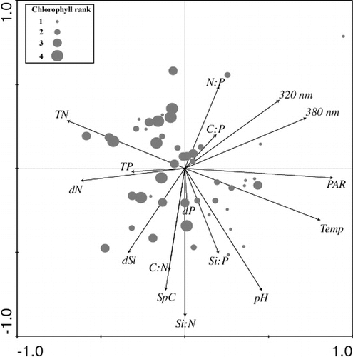 FIGURE 3. Principal components analysis to explore the relationship between the chlorophyll rank of samples and the measured environmental variables. Positions of the samples on the biplot are indicated by circles, with larger circles indicating a higher chlorophyll rank in that sample (i.e., the highest chlorophyll concentration for that profile). The conductivity vector is denoted as SpC; the dissolved nutrient vectors are dN, dP, and dSi