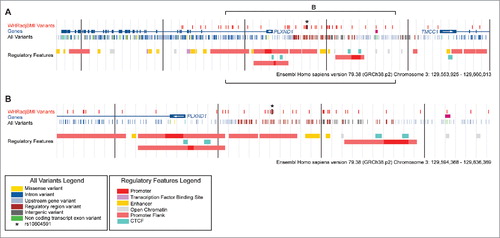 Figure 1. Common variants and regulatory features at human PLXND1. Four tracks are depicted at the PLXND1 locus. In descending order: WHRadjBMI Variants; 49 variants linked to rs10804591 (European ancestry, 1000G Phase 1, >0.7 R2 in linkage disequilibrium of rs10804591). Genes; Havana annotated genes. Arrows within the first exon indicate direction of transcription. All Variants; common variants from 1000 G Phase 1 with a frequency of at least 1% within populations of European ancestry. Regulatory Features; regulation marks predicted by the Ensembl Regulatory Build.Citation66 Vertical black bars are 100 kb (A) or 10 kb (B) apart. Brackets in A denote the region shown in B.