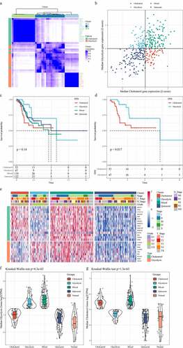 Figure 1. Identification of molecular subtypes of gastric cancer. A: Consistent clustering of glycolysis and cholesterol genes. B: Samples were classified into four subtypes according to glycolysis and cholesterol gene expression levels (Quiescent, Glycolysis, Cholesterol and Mixed). C: Disease-specific survival time prognostic survival curves of the four molecular subtypes. D: Disease-specific survival time prognostic survival curves of the Cholesterol and Glycolysis subtypes. E: Heatmaps of 24 Cholesterol- and Glycolysis-related genes. F: Glycolysis Genes expression levels in four subtypes and normal groups in the TCGA dataset. G: Cholesterol Genes expression levels in four subtypes and normal groups in the TCGA dataset