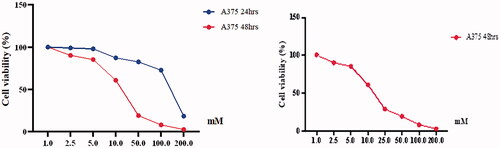 Figure 1. Cell viability percentages of A375 cell lines treated with ascending boric acid concentrations according to the WST-1 assay results.