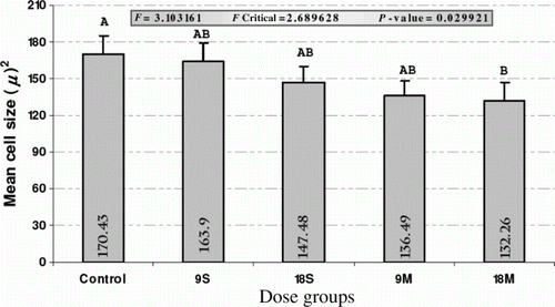 Figure 2.  Mean (values shown with in the histogram bars) medullary cell size in Control and DZ treated groups. Note:+bars = SEM; uppercase letter (A, AB and B) above the + bars indicate the statistical comparison of the means among the experimental groups [any two groups not sharing a common uppercase letter show significant difference with each other (comparison of the means based upon Duncan's Multiple Range Test: P <0.05)]. Title Bar shows the F, F critical and P values of ANOVA. 9S: 9 mg/kg Single DZ exposure; 9M: 9 mg/kg Multiple DZ exposure; 18S: 18 mg/kg Single DZ exposure; and 18M: 18 mg/kg Multiple DZ exposure groups.