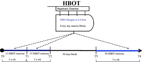 Figure 1. Experimental design of working protocol with timeline of blood samples collection.