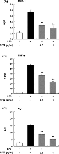 Fig. 3. Effects of RF52 on secretion of inflammatory mediators by LPS-stimulated RAW264 macrophages.Notes: RAW264 cells were stimulated with LPS (5 μg/mL) and incubated with RF52 for 24 h. The levels of MCP-1 (A), TNFα (B), and NO (C) in the culture medium were measured. Data are presented as means ±SEM (n = 4–5). **p < 0.01 vs. culture treated with LPS alone.