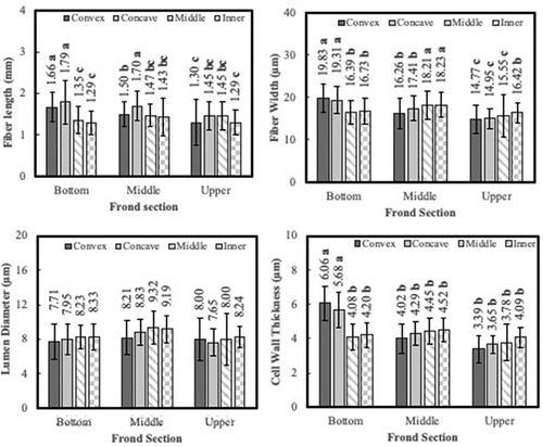 Figure 6. Histogram of longitudinal and radial variability of fiber morphology. a. Fiber length; b. Fiber diameter; c. Lumen diameter; and d. Fiber wall thickness. (Note: bar chart is representation of the standard deviation, means with the same letter are not significantly different from each other (P > 0.05 ANOVA followed by Duncan multiple range test).