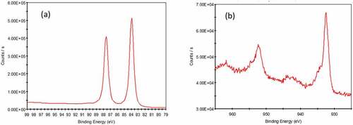 Figure 2. XPS survey of metal films with 50 nm thickness (a) Au thin film and (b) Cu thin film.