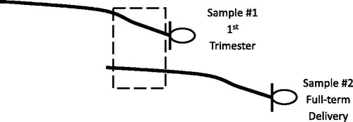 Figure 1. Diagram showing the proximal and distal first-trimester hair segments for comparison. The dashed box indicates segments on each hair sample collection used for comparisons: 0–3 cm from the scalp on hair sample 1 collected in the first trimester (proximal) and 6–9 cm from the scalp on hair sample 2 collected at delivery (distal).