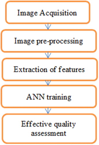 Figure 4. Steps in effective quality assessment.