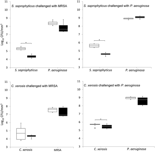 Figure 4. Viable counts of axenic and combined cultures of pre-established communities of S. saprophyticus and C. xerosis when exposed to the transient pathogenic bacteria MRSA and P. aeruginosa in simulated sweat with medium substituted with simulated serum during microbial challenge. See legend to Figure 2.