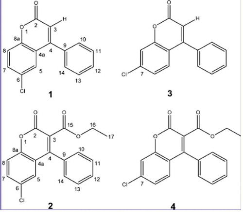 Figure 2. Naturally occurring coumarins (1–2) and newly synthesised analogues (3–4) from F. officinalis. (1) 6-chloro-4-phenyl-2H-chromen-2-one; (2) ethyl 6-chloro-2-oxo-4-phenyl-2H-chromen-3-carboxylate. From Hwang et al. (Citation2013).