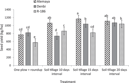 Figure 4. The interaction effect of cultivars by tillage on the SY of lentil at Dekebora in the central highland of Ethiopia; Different letters within figure components indicate significant differences at LSD 0.05