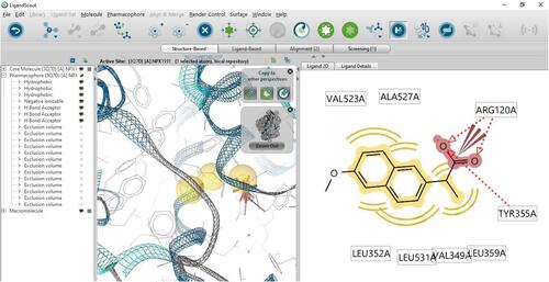 Figure 1 Display the pharmacophore features of (R)-naproxen, in which hydrophobic, negative ion, and hydrogen bond acceptors were assigned as yellow, brown, and red arrows, respectively.