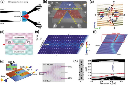 Figure 7. Prototypes of passive photonic devices designed with VPC. (a) Schematic of the topological photonic routing structure that consists of two VPC interfaces and a microdisk. Light come from WVG1 (WVG2) will excite an anticlockwise (clockwise) phase vortex in the microdisk and then couple to different valley chirality-locked modes in the VPC interfaces [Citation56]. (b) Schematic of a four-channel VPC routing structure. Light injected into channel 1 is routed into channels 2 and 4, while light injected into channel 2 is routed into channels 1 and 3 [Citation82]. (c) Schematic illustration of a topological channel intersection. The orange and green triangles represent the scatters with different structural parameters [Citation79]. (d) Structure of the topologically protected Mach–Zehnder interferometer realized with VPC waveguide. Two types of VPC interface are utilized for the reference and detection arms [Citation83]. (e) An optical cavity composed of a VPC waveguide and a mirror termination. The realization of the cavity is based on the near-conservation of the valley degree of freedom [Citation84]. (f) A valley beam filter was realized by combining the valley degree and the spin degree of freedom [Citation85]. The simulated transmission profile is shown, demonstrating that light with different valley polarization will be guided to different port. (g) The structure of a splitter based on VPC waveguide is depicted at the left panel while the corresponding energy distribution is shown at the right panel [Citation89]. (h) The VPC structure and the corresponding edge dispersion of slow-light waveguide [Citation90]. Figures reproduced from: (a) ref [56], Copyright 2019, Nature Publishing Group; (b) ref [82], Copyright 2019, WILEY-VCH; (c) ref [79], Copyright 2019, WILEY-VCH; (d) ref [83], Copyright 2020, Institute of Physics Publishing Group; (e) ref [84], Copyright 2020, American Physical Society; (f) ref [85], Copyright 2018, Nature Publishing Group; (g) ref [89], Copyright 2020, Optical Society of America; (h) ref [90], Copyright 2021, American Physical Society