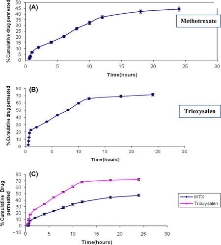 Figure 3. Permeation studies of Trioxysalen (A), MXT (B), and combination of both drugs (C) in methanolic PBS (7.4).