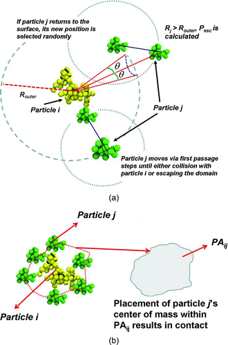 FIG. 1 Schematic of the procedures used for (a) Smoluchowski radius and (b) projected area calculation for a colliding pair of particles. (Color figure available online.)
