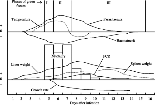 Figure 3. Diagrammatic representation of the relative timing of clinical signs of P. gallinaceum malaria in chickens following a blood-induced infection, presented as positive and negative deviations from the baseline conditions in healthy birds.
