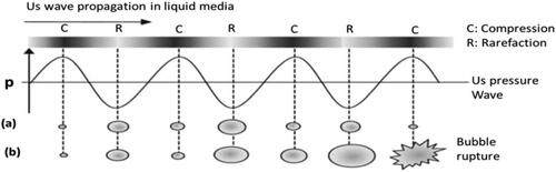 Figure 3. Cavitation event and consequences induced by power US in liquid media. (a) Stable cavitation (non-collapsing): bubble expands (low p) and contracts (high p) alternately, oscillating and existing for many acoustic cycles. (b) Transient cavitation: cavity/bubble increases in size, and eventually collapses at an unstable size, creating immense local high T and p up to 5000 K and 2000 atm (1 atm = 1.01 × 105 Pa) (Wu, 2017).