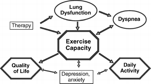 Figure 2 Lung dysfunction in COPD results in shortness of breath and reduced exercise capacity. Symptomatic maximal exercise limitation is associated with reduced physical activity and impaired quality of life, along with depression and anxiety.