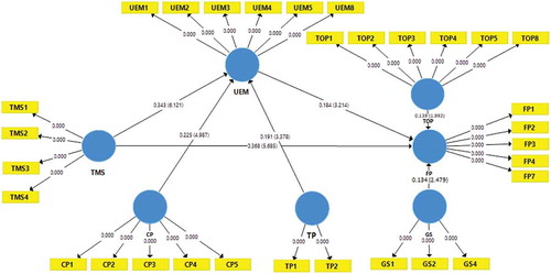 Figure 3. Measurement model—significance values and T-statistics.