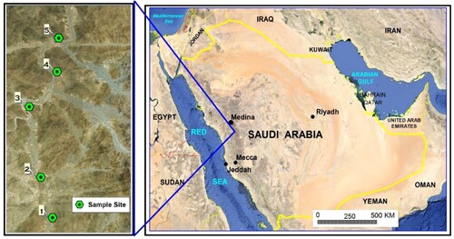 Figure 8. Map show groundwater sampling locations, Swary valley, AlMedinah AlMunararah province.