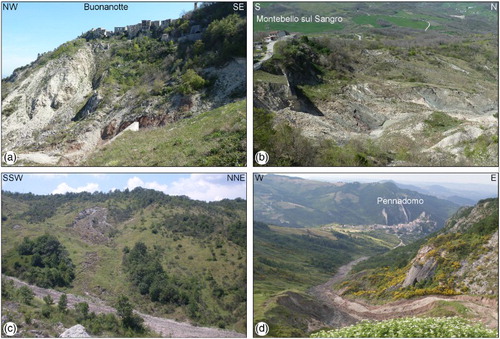 Figure 2. Montebello sul Sangro landslide features: (a) landslide scarp on the calcareous ridge; (b) landslide scarp on the clayey slope covered by scree slope deposits; (c) minor landslide on the western flank of the main landslide on clay units; (d) main earthflow.