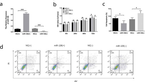 Figure 2. Effect of miR-126 on BMSCs migration and invasion. After transfections, the migration rate (a, b) and invasive cell number (c, d) in each group of BMSCs. Comparison between two groups was determined by unpaired t-test. Each experiment was conducted in triplicate. P value <0.05 was considered statistically significant. *P < 0.05, **P < 0.01. MiR-126, microRNA-126; BMSCs, bone marrow-derived mesenchymal stem cells