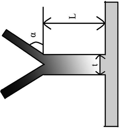 Figure 2. The schematic of a Y-shaped fin inside the outer tube shows the variable dimensions.