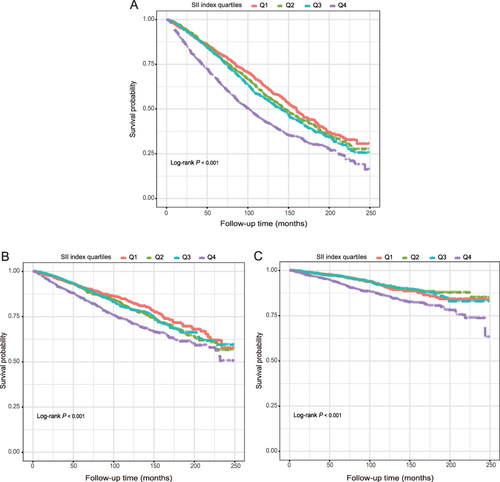 Figure 2 Kaplan-Meier survival curve for all-cause (A), CVD (B and C) cancer-related mortality in CVD patients.
