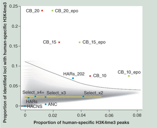Figure 4.  Comparison of studies: proportion of identified loci with overlapping human-specific H3K4me3.CpG ‘beacon’ clusters identify hs-H3K4me3 peaks more successfully than extreme human nucleotide change or studies of selection. Scatter plot of permutated data for random selection of sets of one to 1000 loci from the total of 18,665 human peaks (1000× randomization each) that then overlap the 410 hs-H3K3me4 loci. Upper line: Loess regression line of maximum simulation value; golden points: average for each random selection with average Loess regression line overlaid in grey; red squares: CpG ‘beacon’ clusters; green squares: CpG ‘beacon’ clusters adjusted for the fact that the primate EPO alignment only contains 257 hs-H3K4me3 peaks; blue squares: selective studies – HACNS (HACNS – 0/992) [Citation43] and ANC (ANC – 6/1356) [Citation44], Select_2x, _3x and _4+x are overlaps with studies combined by Akey [Citation42] with loci colocating in 2, 3 or 4 or more studies. HARs are the 49 top HARs [Citation21]. HAR_202 is an expanded set of 202 HARs, with this set the only nonbeacon analysis to perform well, as this larger grouping has a strong overlap with CpG ‘beacons’ (∼85.7% of the hs-H3K4me3 overlapping CpG ‘beacons’ ≥10/kb). ANC: Accelerated noncoding; CB_10: CpG ‘beacon’ clusters ≥10/kb; CB_15: CpG ‘beacon’ clusters ≥15/kb; CB_20: CpG ‘beacon’ clusters ≥20/kb; HAR: Human accelerated regions; HACNS: Human accelerated conserved noncoding; hs-H3K4me3: Human-specific H3K4me3.