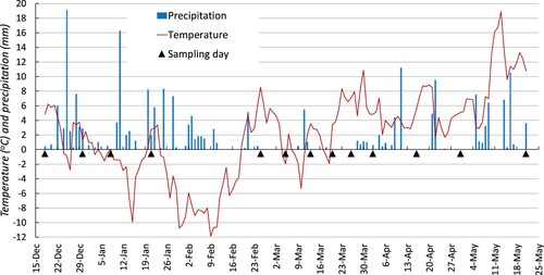 Figure 1. Daily precipitation as snow or rain (Vattholma weather station) and daily mean temperature (Uppsala weather station) (https://www.smhi.se). Sampling days are indicated on the x-axis.