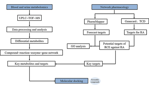 Figure 1 The procedure of the metabolism and network pharmacology experiment.