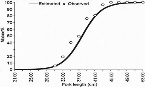 Figure 12. Observed and estimated size at first maturity for E. affinis.
