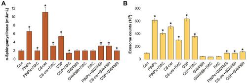 Figure 12 Effect of NAC on PtNPs on neutral sphingomyelinase and exosomes counts. A549 cells were treated with PtNPs (10 µM) or C6-cer (10 µM) or CSP (10 µM) or GW4869 (20 µM) in Opti-MEM for 24h in the presence or absence of NAC. (A) Neutral sphingomyelinase activity was estimated using Amplex Red sphingomyelinase assay kit. (B) Exosomes counts were measured by EXOCET. The treated groups showed statistically significant differences from the control group by the Student’s t-test; *p < 0.05 was considered significant.