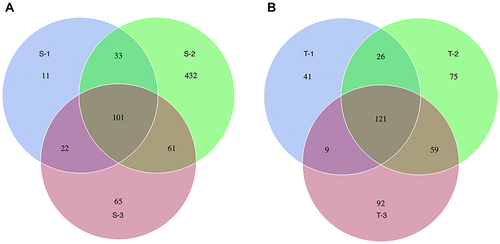 Figure 2 Venn diagrams show the unique and shared OUTs between three patients in saliva samples (A) and tongue coat samples (B) during the black tongue stage. Blue circle:Patient 1; Green circle: Patient 2; Purple circle: Patient 3. S-1: Saliva sample from patient 1; S-2: Saliva sample from patient 2; S-3: Saliva sample from patient 3; T-1: tongue coat sample from patient 1; T-2: tongue coat sample from patient 2; T-3: tongue coat sample from patient 3.