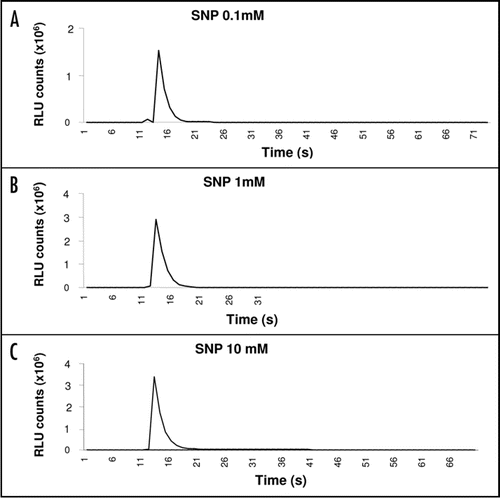 Figure 1 Dose dependency of the Ca2+ transient induced by the NO donor SNP. SNP 0.1 mM (A), 1 mM (B) and 10 mM (C). Traces shown best represent the average response for each concentration Treatments were repeated at least three times with similar results.