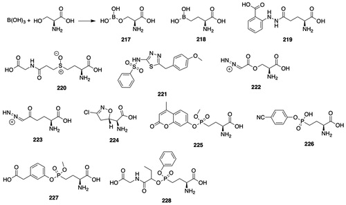 Figure 20. GGT inhibitors. 217, L-Ser-borate complex (O-(dihydroxyboryl)Ser); 218, 3-amino-3-carboxypropaneboronic acid (γ-boroGlu); 219, 1-γ-l-Glu-2-(2-carboxyphenyl)hydrazide (anthglutin); 220, 2-amino-4-[2-(carboxymethylcarbamoyl)ethylsulfinyl]butyric acid; 221, N-(5-(4-methoxybenzyl)-1,3,4-thiadiazol-2-yl)benzenesulfonamide (OU749); 222, O-(2-diazoacetyl)- l-Ser (azaserine); 223, 6-diazo-5-oxo-l-Nle (DON); 224, (αS,5S)-α-amino-3-chloro-4,5-dihydro-5-isoxazoleacetic acid (acivicin, AT-125); 225, 2-amino-4-[methyl(4-methylumbelliferyl)phosphono]butanoic acid; 226, 2-amino-4-[mono(4-cyanophenyl)phosphono]butanoic acid (Hiratake′s Phosphonate); 227, 2-amino-4-{[4-(carboxymethyl)phenyl]-(methyl)phosphono}butanoic acid (GGsTop); 228, (2 R,S)-2-amino-4-{(S)-1-[N-(carboxymethyl)carbamoyl]propyl(phenyl)-(Sp*)-phosphono}butanoic acid.
