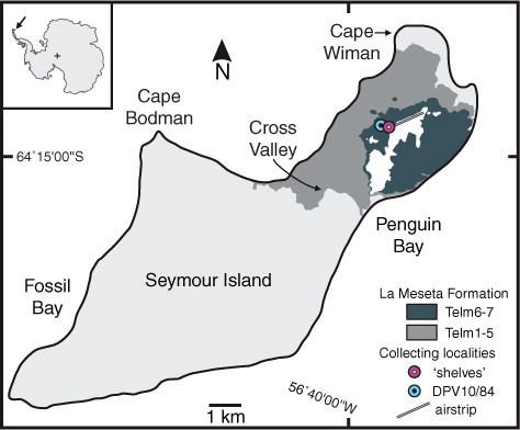 Fig. 1  Map showing the location of Seymour (Marambio) Island, the La Meseta Formation and sampling sites.