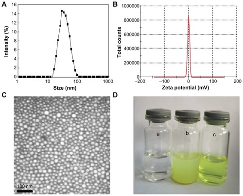 Figure 3 Characterization of QU/MPEG-PCL micelles: (A) size distribution spectrum of QU/MPEG-PCL micelles; (B) zeta potential spectrum of MPEG-PCL micelles; (C) transmission electron microscopy image of QU/MPEG-PCL micelles; (D) the encapsulation of QU in MPEG-PCL/QU nanoparticles renders QU completely dispersible in aqueous media (a, water (pH = 7.0); b, QU in water (pH = 7.0, 2 mg/mL); c, QU/MPEG-PCL micelles in water (pH = 7.0, 2 mg/mL).Abbreviations: MPEG, monomethoxy poly(ethylene glycol); PCL, poly(ɛ-caprolactone); QU, quercetin.